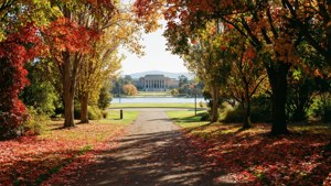 Autumn Lake Walk