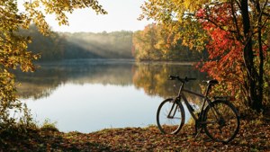 Autumn Lakeside