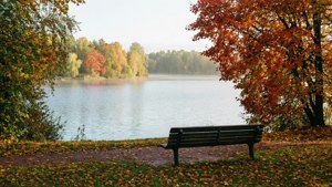 Autumn Lakeside Park