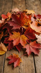 Autumn Leaf Bunch