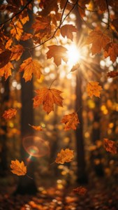 Autumn Leaf Leaks