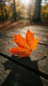 Autumn Leaf Macro