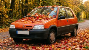 Autumn Leaves AX