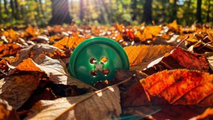 Autumn Leaves Button