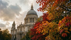 Autumn Leaves by the Dome