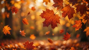 Autumn Leaves Calendar