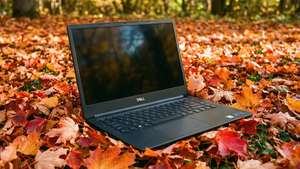 Autumn Leaves Dell XPS