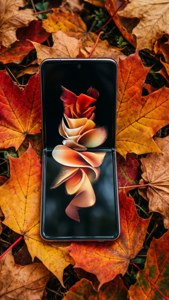 Autumn Leaves Flip