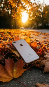 Autumn Leaves iPhone