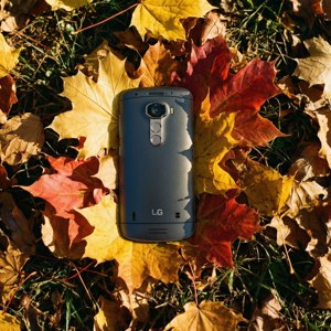Autumn Leaves LG G3