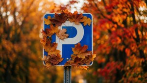 Autumn Leaves on Parking Sign