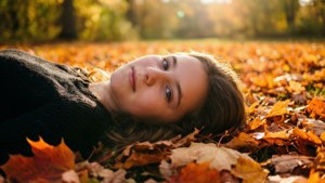 Autumn Leaves Serenity