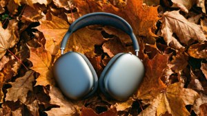 Autumn Leaves Space Gray
