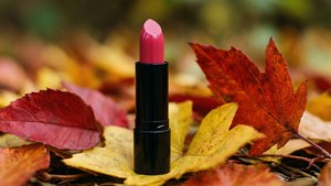 Autumn Leaves Still Life