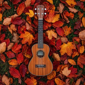 Autumn Leaves Ukulele