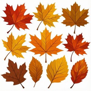 Autumn Leaves Vector Set
