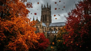 Autumn Majesty