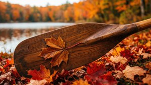 Autumn Maple Oar