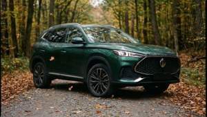 Autumn MG6 Forest