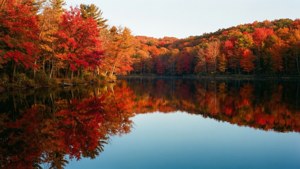 Autumn Mirror Lake