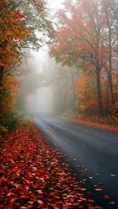 Autumn Mist