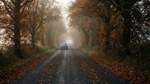 Autumn Mist on the Road