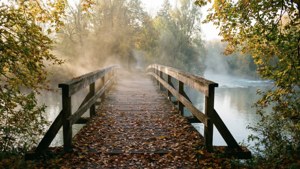 Autumn Misty Bridge