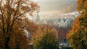 Autumn Misty Morning