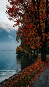 Autumn Montreux Serenity