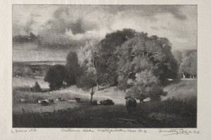 Autumn Oaks