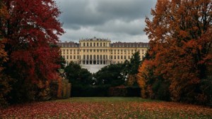 Autumn Palette