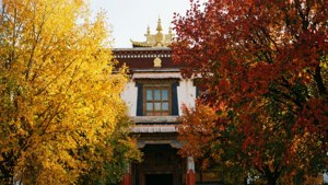 Autumn Palette