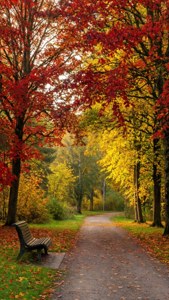 Autumn Park in Larvik