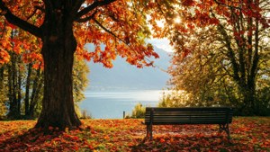 Autumn Park Lake View