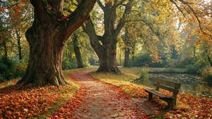 Autumn Park Path