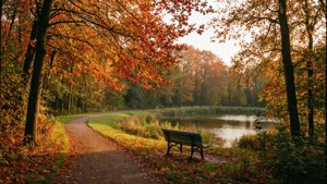 Autumn Park Serenity