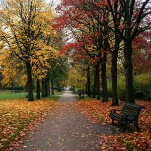 Autumn Park Stroll
