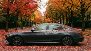 Autumn Parked