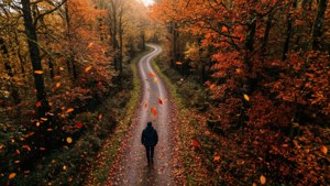 Autumn Path