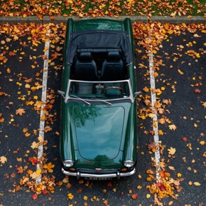 Autumn Pattern