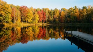 Autumn Pond Reflection