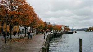 Autumn Promenade