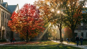 Autumn Quadrangle Beauty