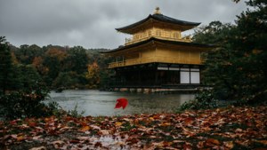 Autumn Rain at the Temple