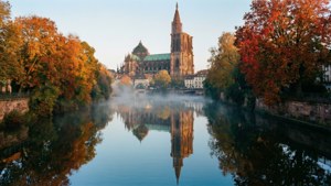 Autumn Reflection