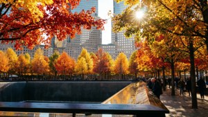 Autumn Reflections