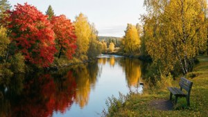 Autumn Reflections