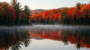 Autumn Reflections on Lake