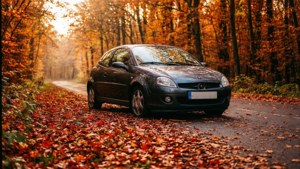 Autumn Retreat