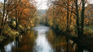 Autumn River